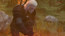 Witcher 3 Triss Geralt Netorare – NeinSFW