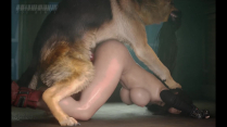 Tifa Lockhart Loves It Doggy [Pog Benis]