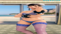 Chun-Li Knows about martial arts – (Heracles 3DX)